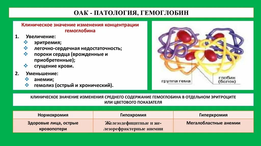 Изменения гемоглобина в крови