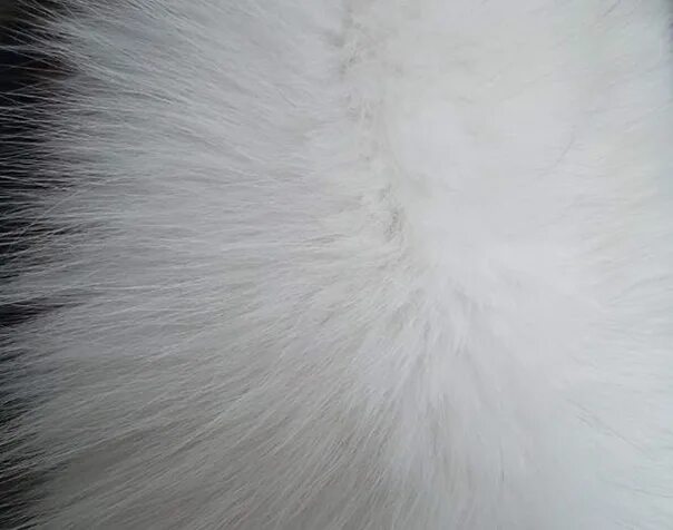 Искусственный мех. Текстура шерсти бесшовная. Коричневая норка. Шерсть волка. Шуба с большим мехом.