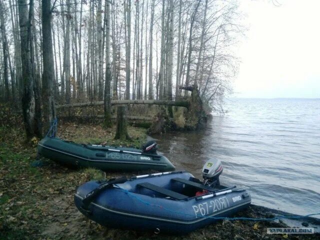 Разбор лодок. Костромские разливы. Минино костромские разливы Ярославская. Некрасовские озера Кострома. Костромские разливы фото.