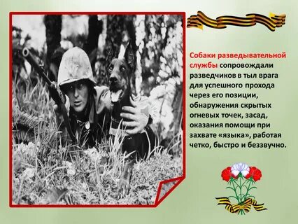Разведчики не захотели отправлять ваню в тыл