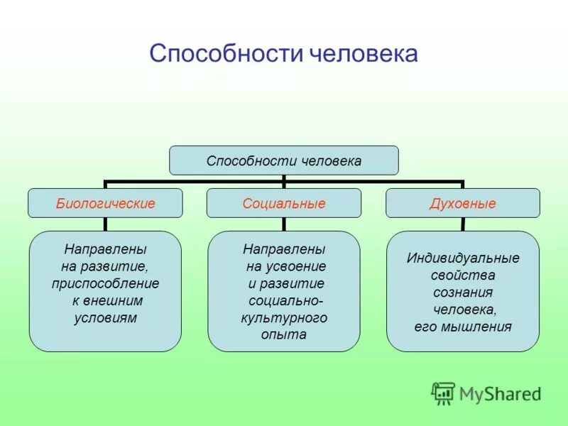 К природным способностям относятся