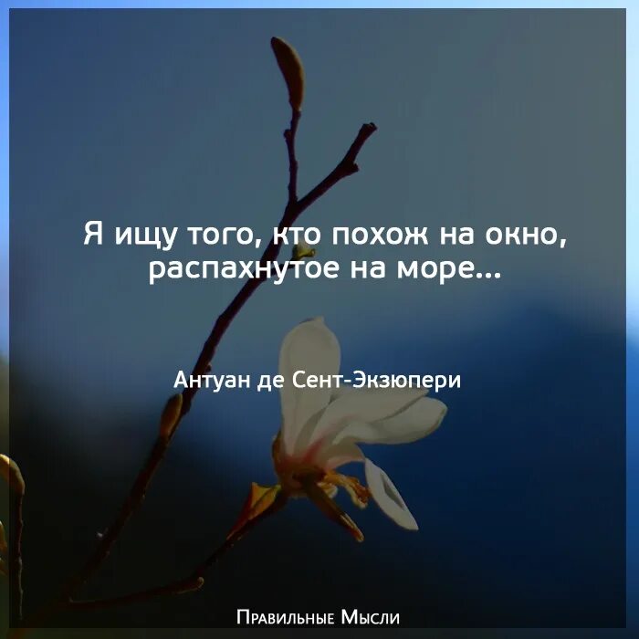 Сердце счастья и радостей просит а годов. Богаче всего тот человек чьи радости. Богаче всех тот, чьи радости требуют меньше денег.. Самый богатый тот чьи радости требуют меньше всего денег. Счастлив тот чьи радости требуют меньше всего.