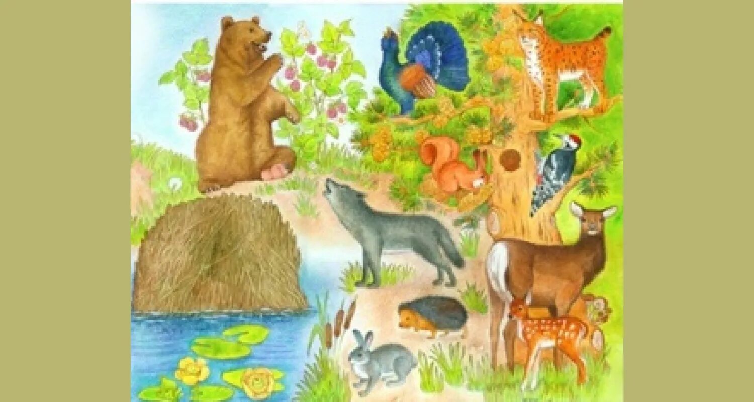 Животные иллюстрации. Лесные жители. Животный мир для дошкольников. Обитатели леса для дошкольников.