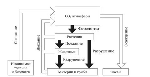 Составить схему углерода