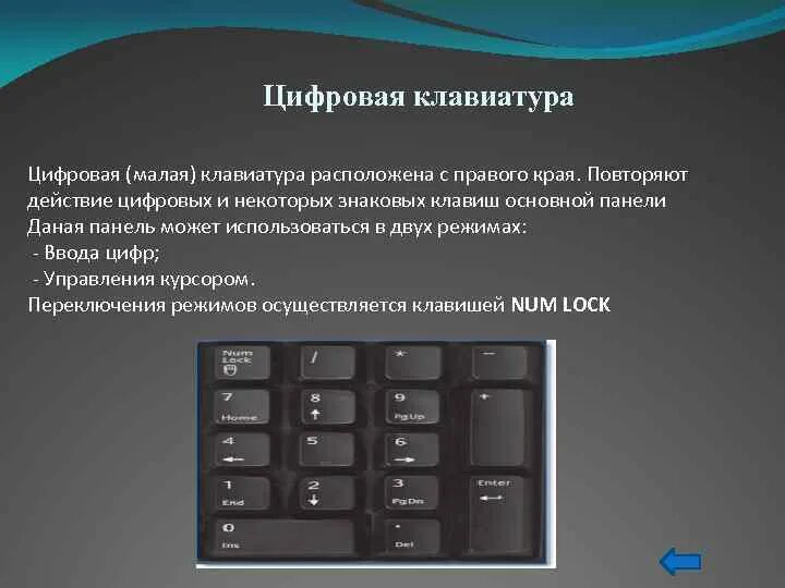 Какая клавиша включает и выключает цифровую клавиатуру. Какая клавиша включает и выключает цифровую клавиатуру