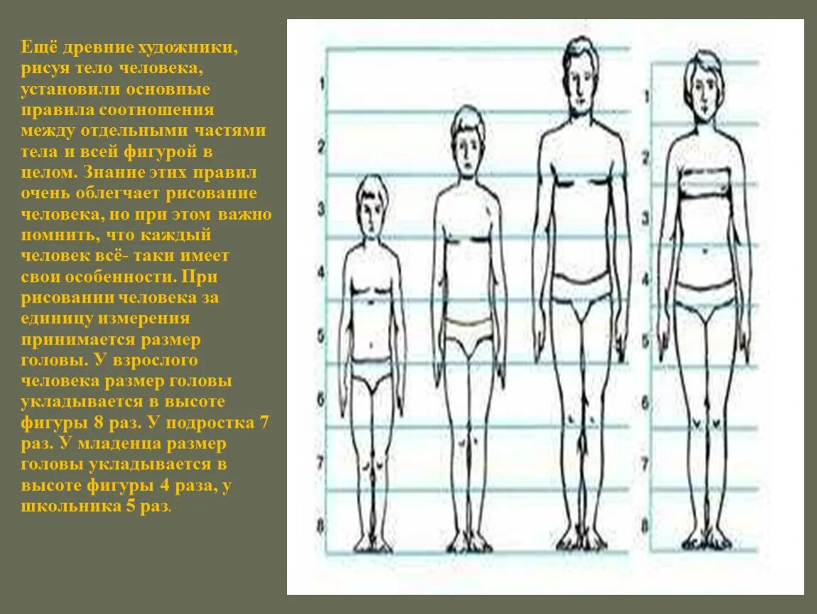 Презентация рисования человека. Тело человека рисунок. Изображение фигуры человека. Пропорции человека. Фигура человека для рисования.