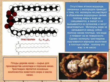 В образовании молекул участвуют