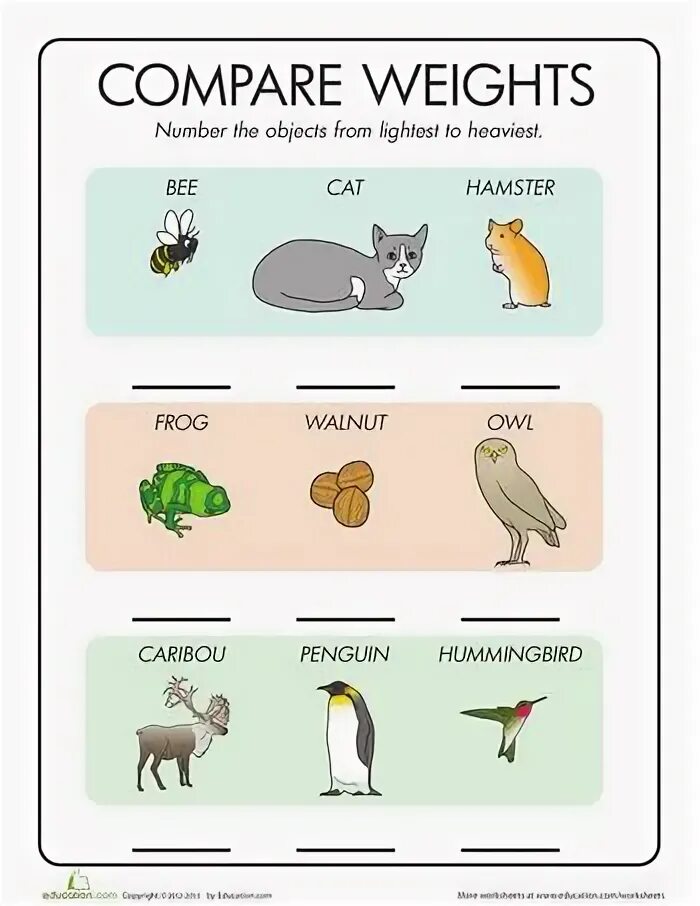 Light comparative. Compare Weight. Compare animals. Animals Comparison.