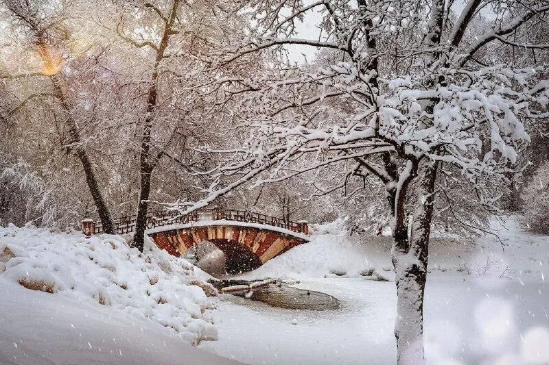 Зима холода. Зима 2022-2023 на карте. Зима 2022. Прогноз погоды на зиму 2022-2023. Зима в америке.