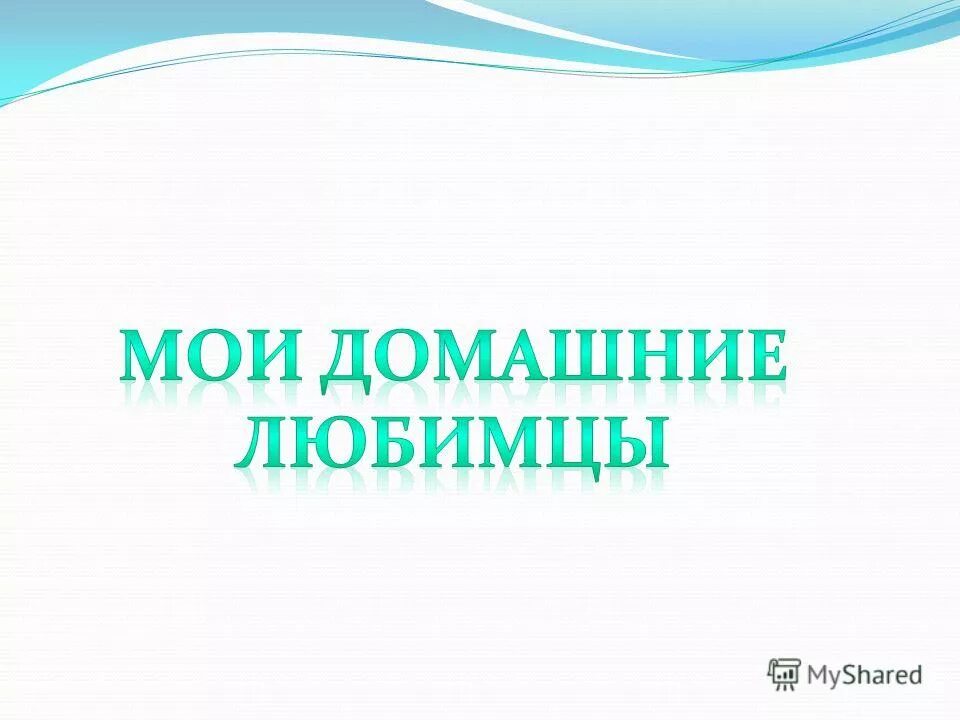 Ачикулак школа 10. Здоров ли я. Выполнила ученица 4 класса. Презентация ребрихинский район. Выполненные работы.
