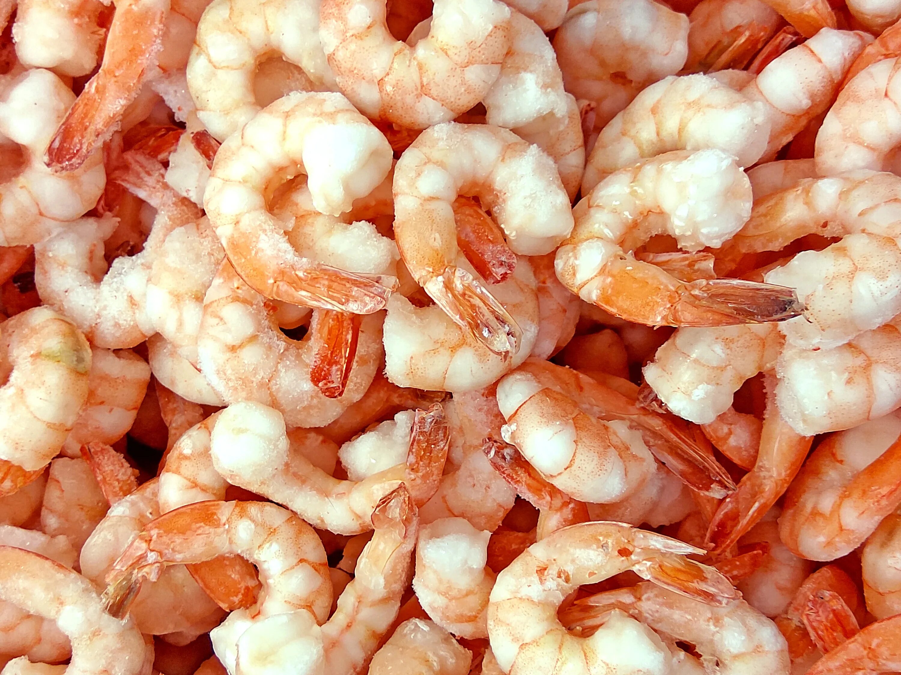 Frozen Shrimp креветки. Креветки белоногие Королевские. Креветки "Королевские" (Тихоокеанские белые). Креветки Королевские вареные.