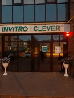 Клевер югорск