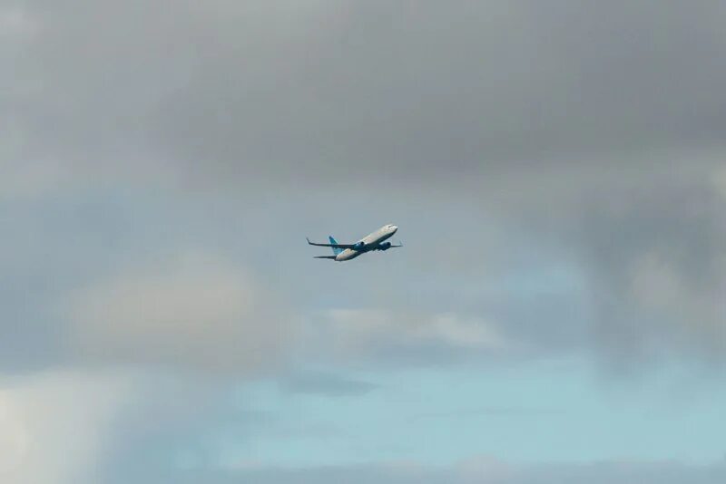 авиакомпания россия. парк воздушных судов аэрофлота. махачкала петербург самолет сегодня. самолет и аэропорт. самолет приземлился в санкт-петербурге.