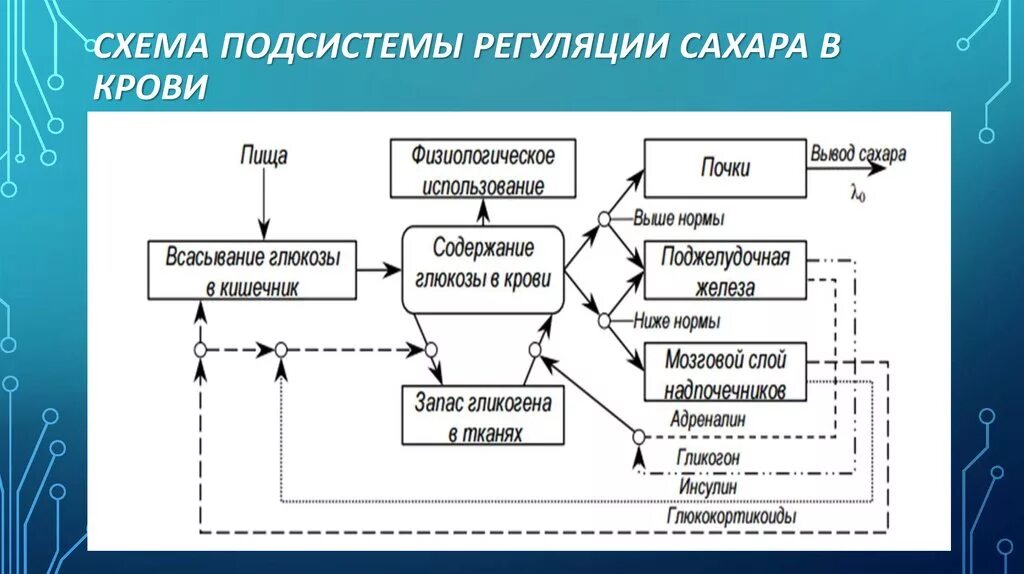 Схема регуляции уровня сахара в крови. Механизм регулирования уровня Глюкозы в крови. Регуляция концентрации Глюкозы в крови схема. Функциональная система поддержания Глюкозы в крови.