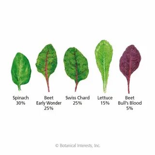 Green leaf перевод