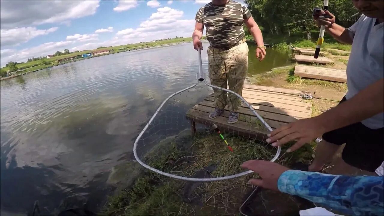 Осетр ловля на платниках. Снасть на осетра на платниках. Ловля карпа на фидер на платнике. Монтаж на платник. Рыбалка на карпа на платнике.