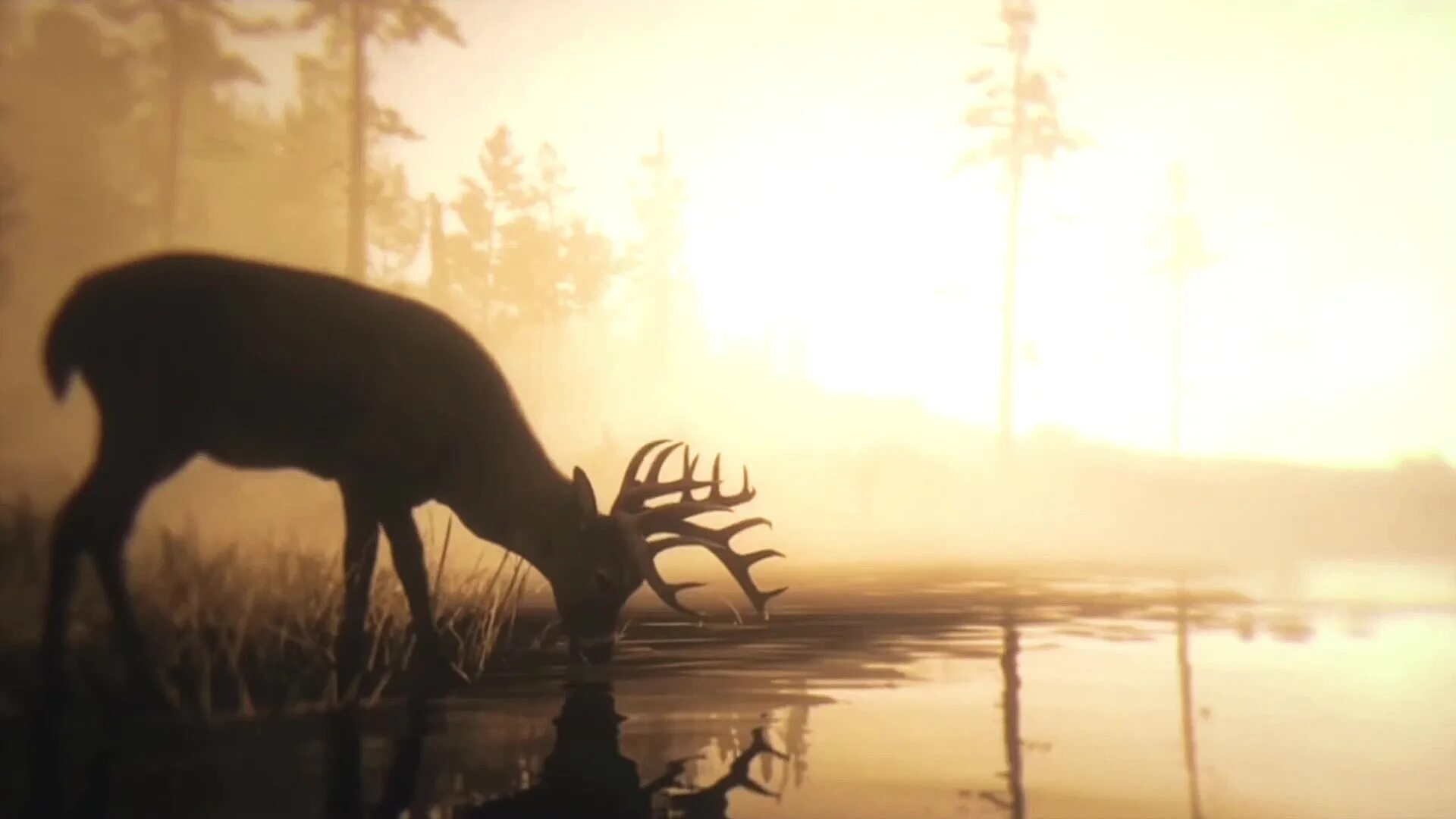 Red dead redemption 2 олени. Red Dead Redemption 2. Rdr2 Deer. Red Dead Redemption 2 Deer. Олень 1920x1080 Red Dead Redemption.