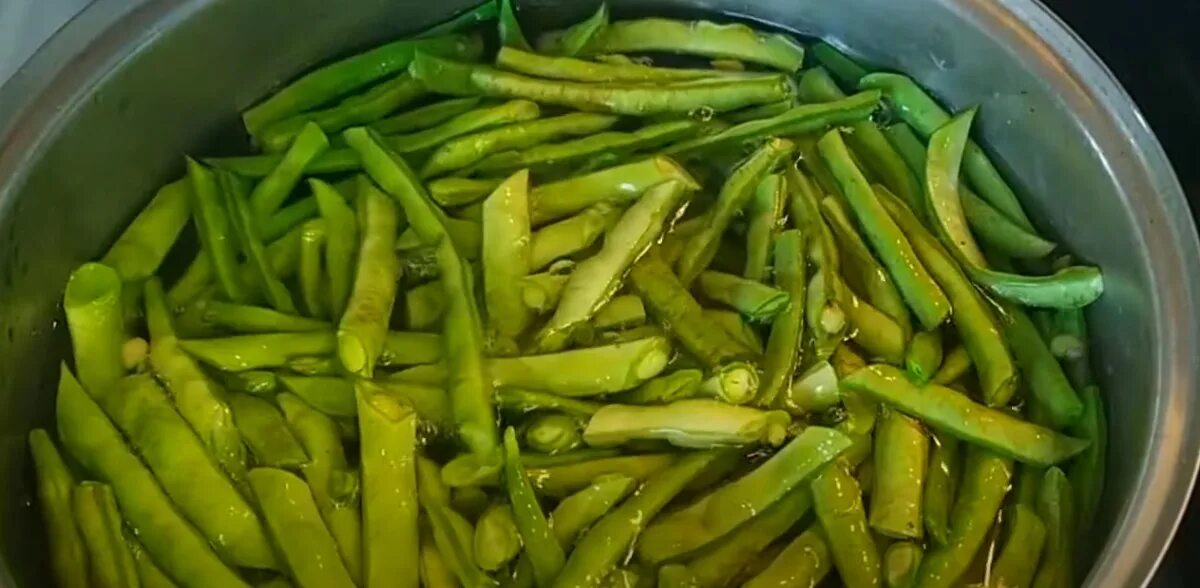 Стручковая фасоль клетчатка. Фасоль стручковая лоби. фасоль стручковая сорт лоби. зеленая фасоль на зиму. фасоль зеленая широкая.