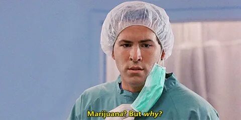 But why i love