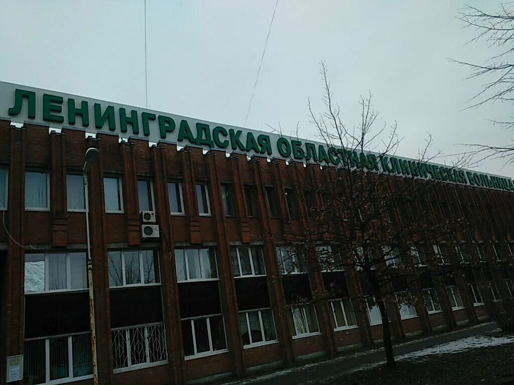 областная больница на луначарского 45. гбуз ленинградская областная клиническая больница. локб ленинградская областная клиническая больница. областная больница спб пр луначарского. луначарского, 45, корп.