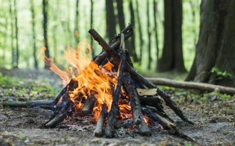 Лиэнн макомбер. Making fire. Build a fire. Build a fire. Build a fire.