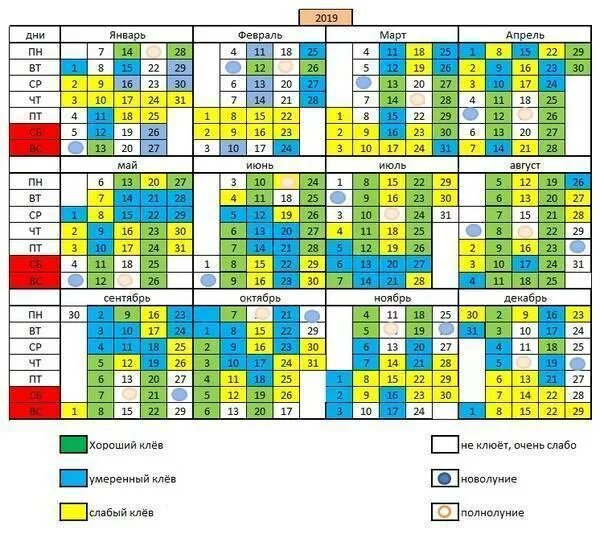 Прогноз клева рыбы на ноябрь 2025 года. Лунный рыбацкий календарь на 2025 год. календарь клёва рыбы на 2025. рыбацкий лунный календарь клева 2025. лунный календарь клева рыбы 2025.