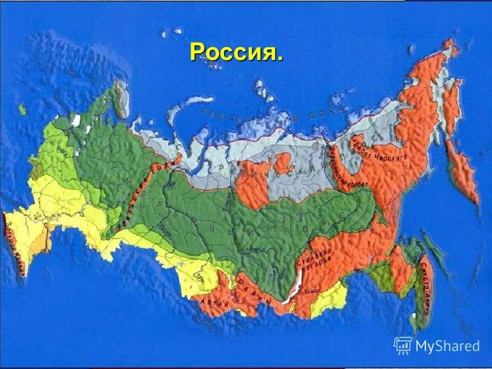 Площадь россии в см