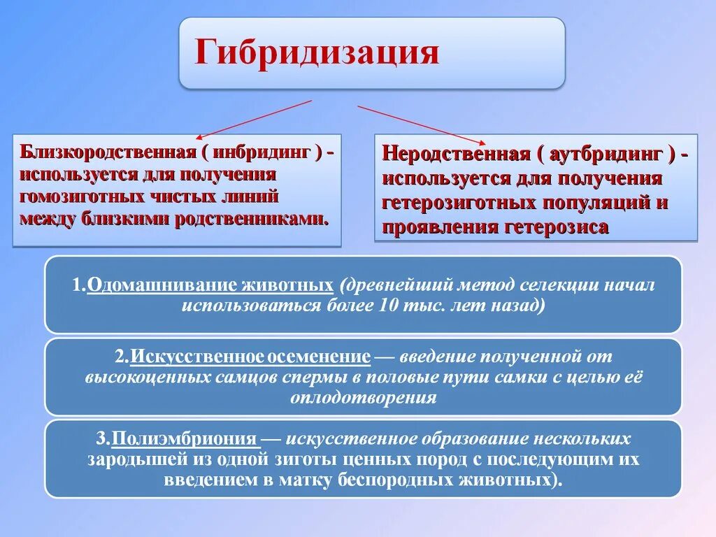 Суть метода гибридизации. Методы гибридизации. Методы гибридизации в селекции. Гибридизация метод селекции. Метод селекции гибридизация характеристика.