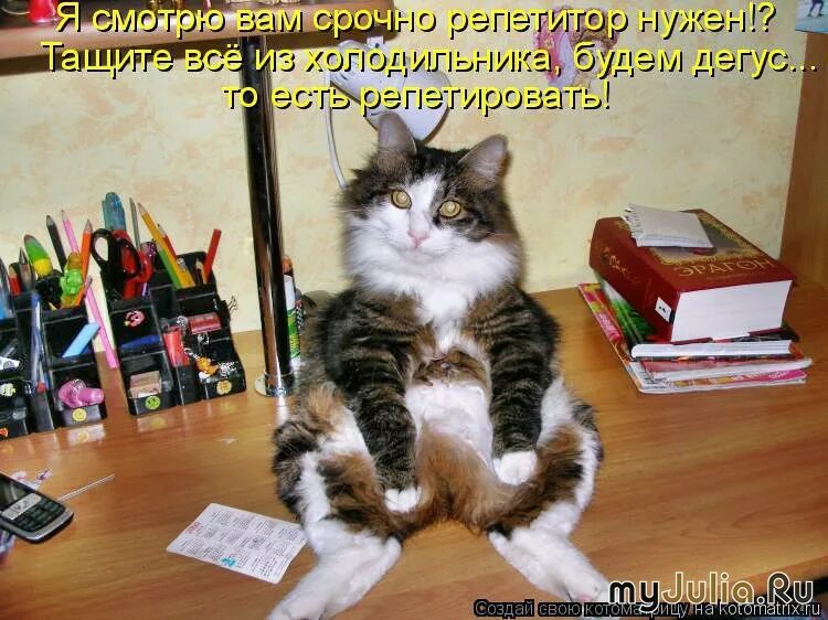 Нужно на следующей недели. Скоро опять в школу. Скоро в школу приколы. Котоматрица про школу. Котики в школе.