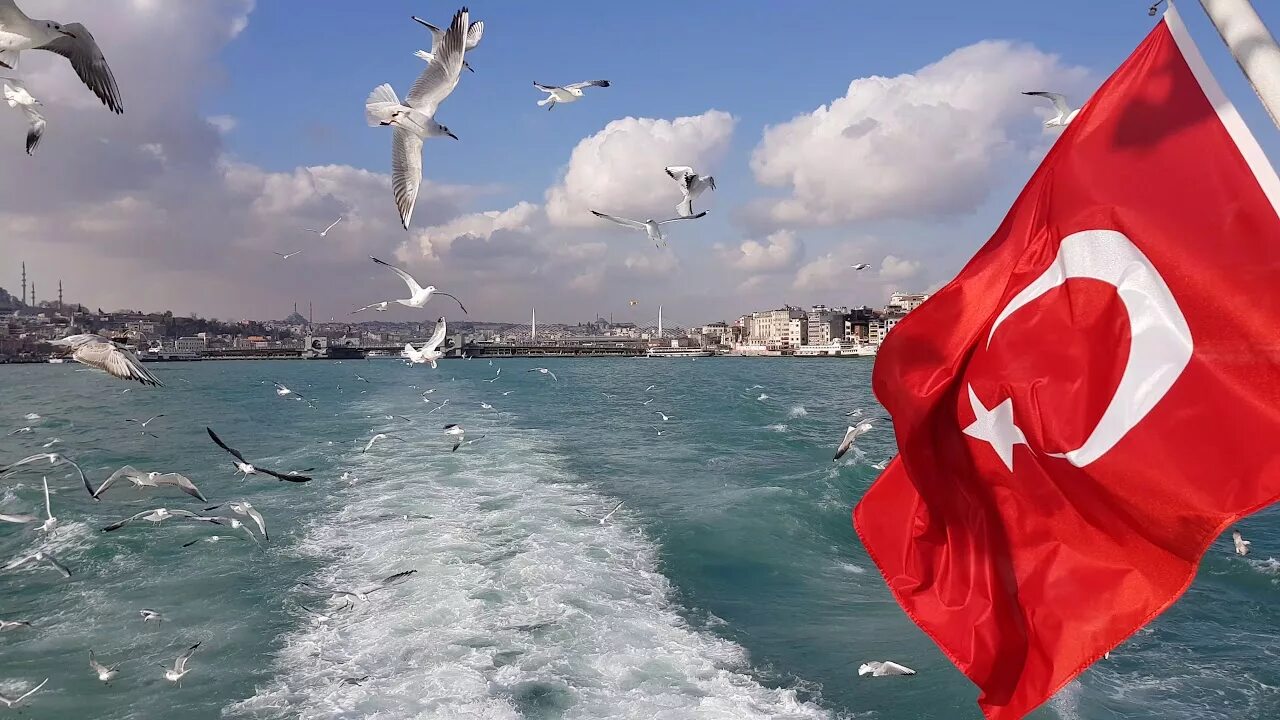 Турция россия стамбул. Стамбул Босфор Чайки. Пролив Босфор Турция Стамбул. Босфор Турция переплыть. Стамбул корабль Босфор.