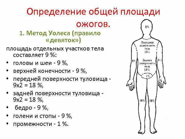 Термический ожог классификация по площади. Площадь ожогов методом девяток. Термические ожоги процент поражения. Термический ожог оценка площади. Пл тела