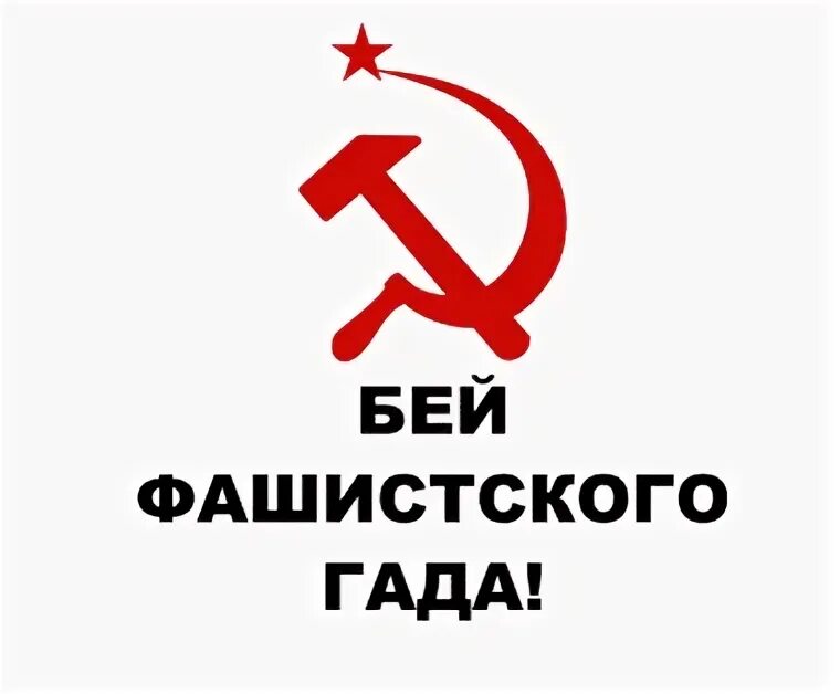 Тригада картинки. Тригада фото. Тригада фото. Тригада смешные картинки. Гад.