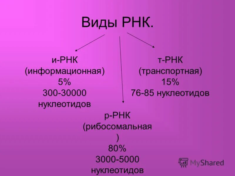 Виды рнк характеристика. РНК. РНК транспортная информационная. Виды РНК транспортная информационная и. Типы РНК.