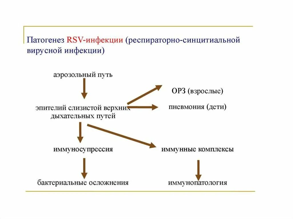 Syncytial virus. Патогенез респираторно-синцитиального вируса. Механизм развития респираторно-синцитиальной инфекции. РС инфекция патогенез. Патогенез РС вируса.