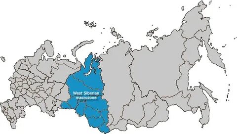 На какое количество макрорегионов разделена