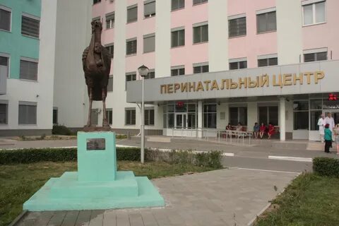 Перинатальный 2 волгоград