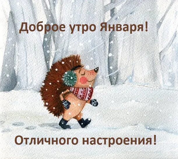 С добрым морозным утром февраля. Доброе утро февраль картинки позитивные прикольные. Удачного зимнего дня и хорошего настроения. Тёплого дня и хорошего настроения. Зимние поздравления с добрым утром.