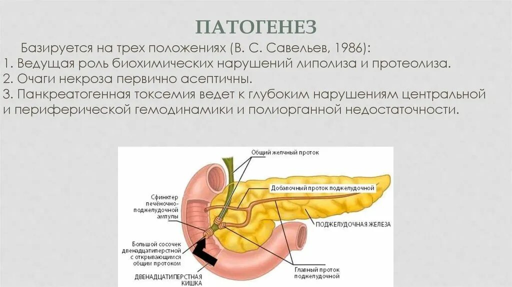 Задачи панкреатит. Этиопатогенез хронического панкреатита. Механизм развития острого панкреатита. Механизм развития хронического панкреатита. Этиология поджелудочной железы.