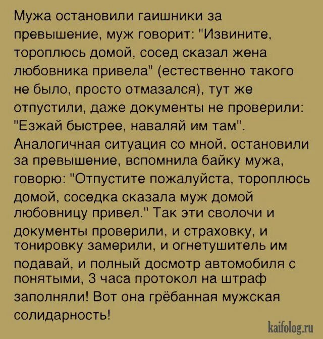 Шутки про мужскую солидарность. Анекдот про мужскую солидарность. Вот она мужская солидарность. Мужская солидарность цитата. Привела любовника для мужа