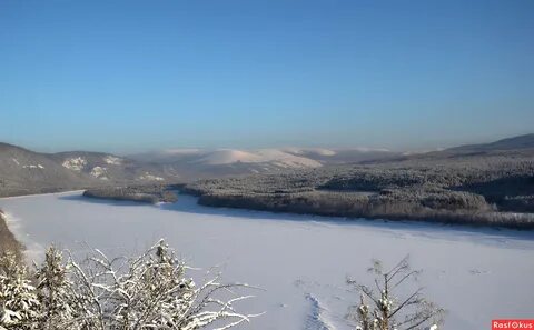 Витим бодайбо