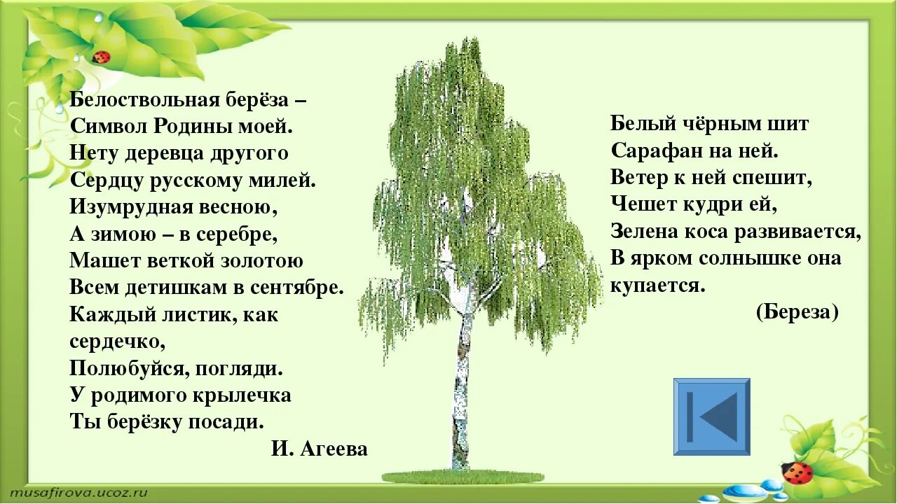 Песня я посадил дерево. Физминутка про березу для детей. Физкультминутка для детей береза. Физминутка про березу для дошкольников. Береза для детей дошкольников.