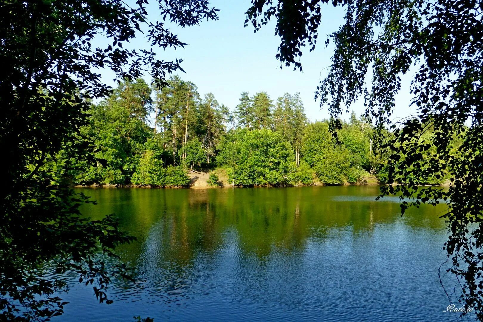 Парк Малаховское озеро. Малаховка озеро. Лесное озеро Самара. Лесное озеро Тольятти. Озера г луга