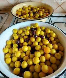 Соус из желтой алычи рецепт