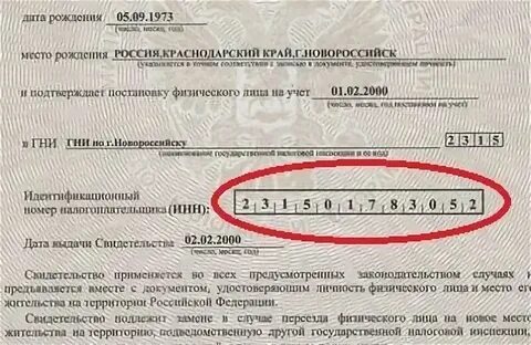 Номер налогоплательщика в беларуси как узнать