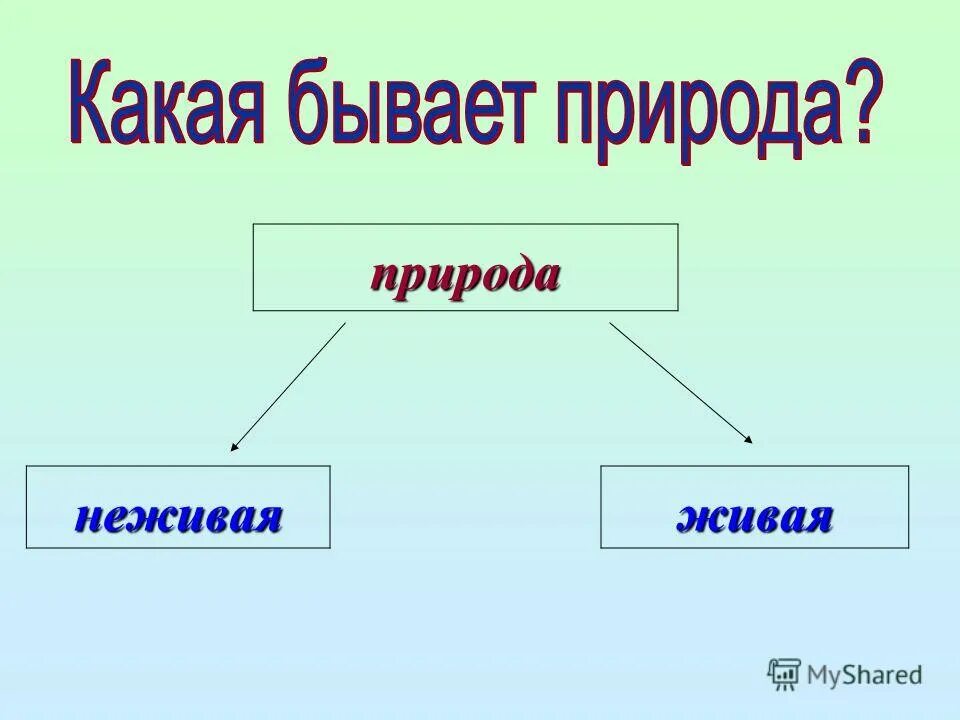 Напиши какие бывают. Какая бывает природа Живая и неживая. Какая бывает неживая природа. Надпись Живая и неживая природа. Какая бывает природа 1 класс окружающий мир.