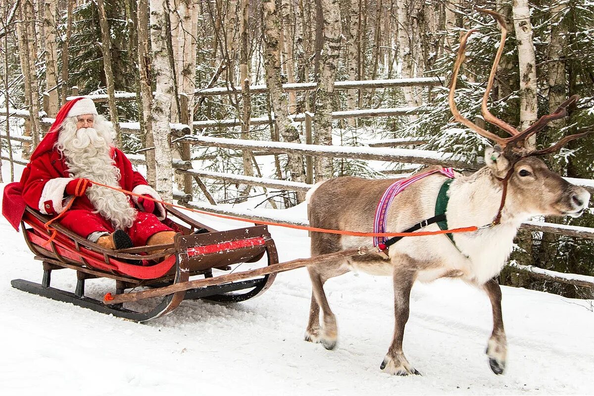 новогодний олень с санями. новогодние сани с оленями. дед мороз на санях с оленями. олень и сани деревянные. оленья упряжка деда мороза.