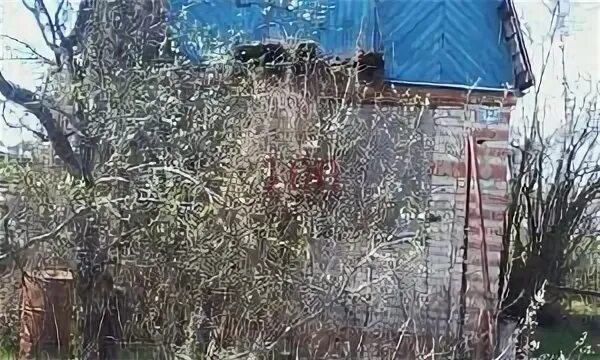 Автобус дачи юбилейное рошаль. Автобус дачи юбилейное рошаль