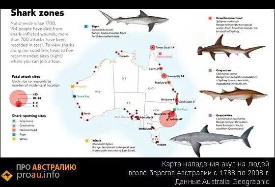 Карта распространения опасных акул. Карта обитания акул. Карта обитания белых акул. Карта нападения акул.