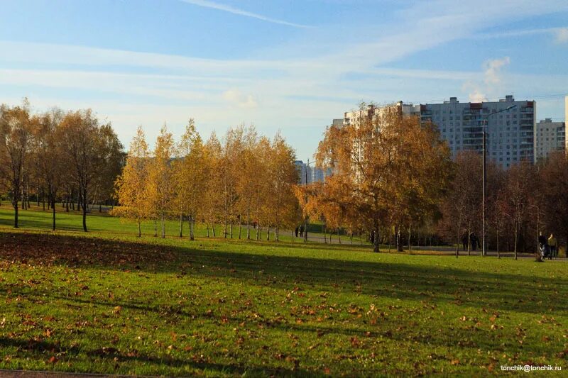 Парк пятидесятилетия октября Коломна. Парк 50-летия октября Москва. Проспект Вернадского парк. Парк 50 лет октября на Вернадского. Парк 50 летия октября фото