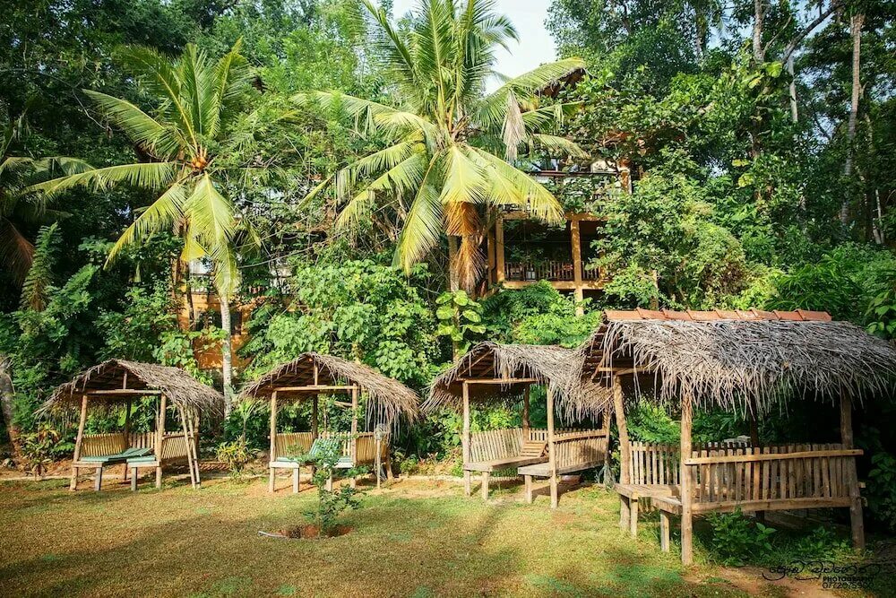 Jungle village. отель jungle шри ланка. Jungle village. Jungle house унаватуна. Jungle village by thawthisa шри ланка.
